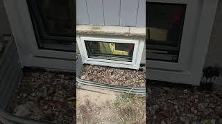 Egress Window Replacement Process | EcoTech Windows & Doors