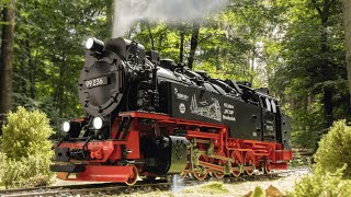 LGB 22222 Modelleisenbahn-Lokomotive Spur G