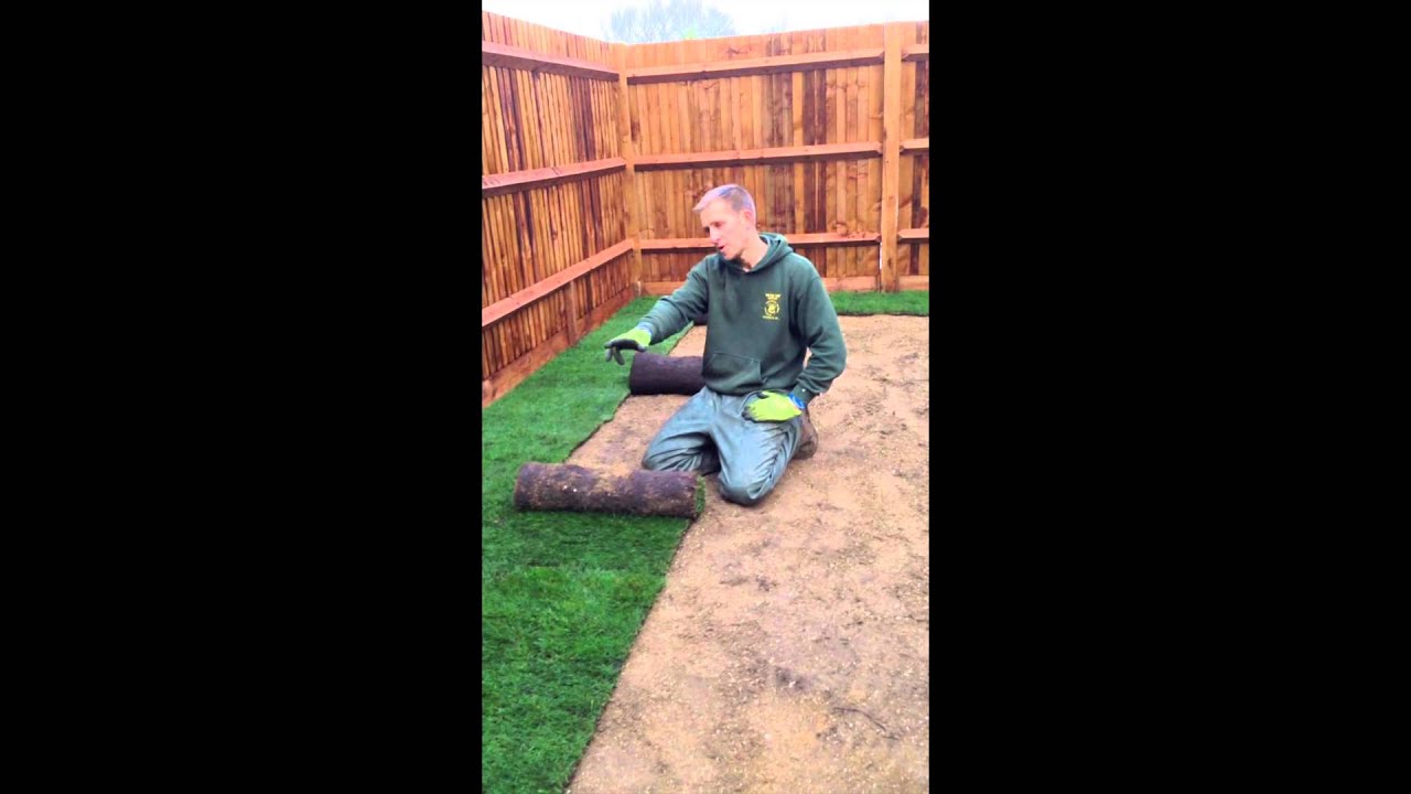 How to lay turf in the winter new lawn in winter YouTube