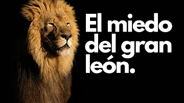 ¿A qué le teme un león?
