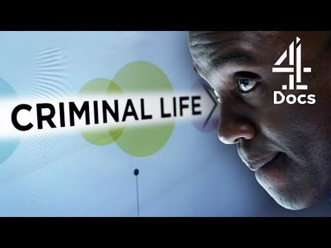Video: Kada ne smiješ ubijati na kanalu 4?