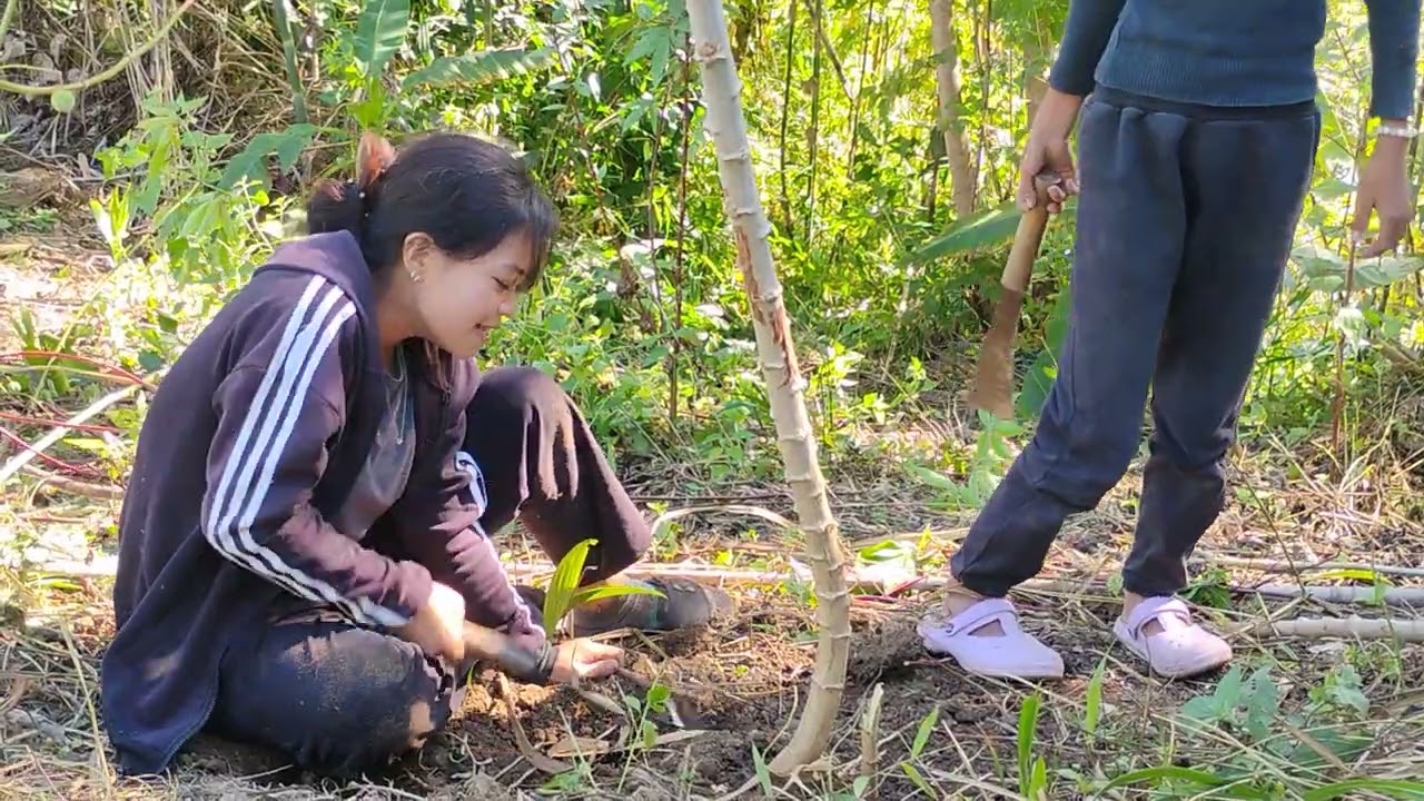 Huan kal na/ thingphur leh thildang