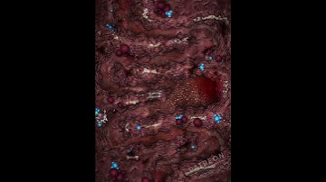 Dead god animated battle map pack by Angela Maps for TTRPGs