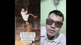 main main sama harimau,#shorts
