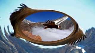 Download Lagu FLYING CONDOR (Yawar Huauqui) Download Lagu FLYING CONDOR (Yawar Huauqui)