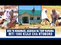 рџ µKONDOA CHEMBA MRADI WA TUINUKE PAMOJA KUWEZESHA VIKUNDI KUSHIRIKI MAADHIMISHO SIKU YA WANAWAKE рџ µKONDOA CHEMBA MRADI WA TUINUKE PAMOJA KUWEZESHA VIKUNDI KUSHIRIKI MAADHIMISHO SIKU YA WANAWAKE
