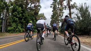 Action on the climbs through Stud Loop. SDBC Ride 5/11/24 #cycling #cyclingvideos