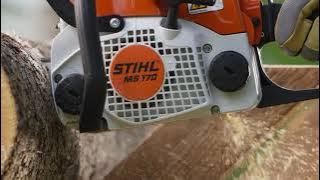 Stihl Chainsaw 16in. Bar 30.1cc Engine 3/8in. Chain Pitch Model# MS 170