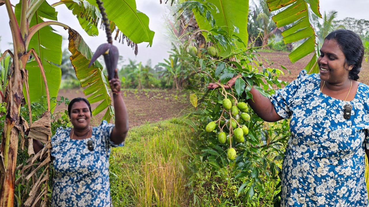 சமையல் செய்யாட்டிலும் தோட்டத்தை சுற்றி பார்ப்பது சந்தோசம் | Our village life ♥️ | vanni vlog 