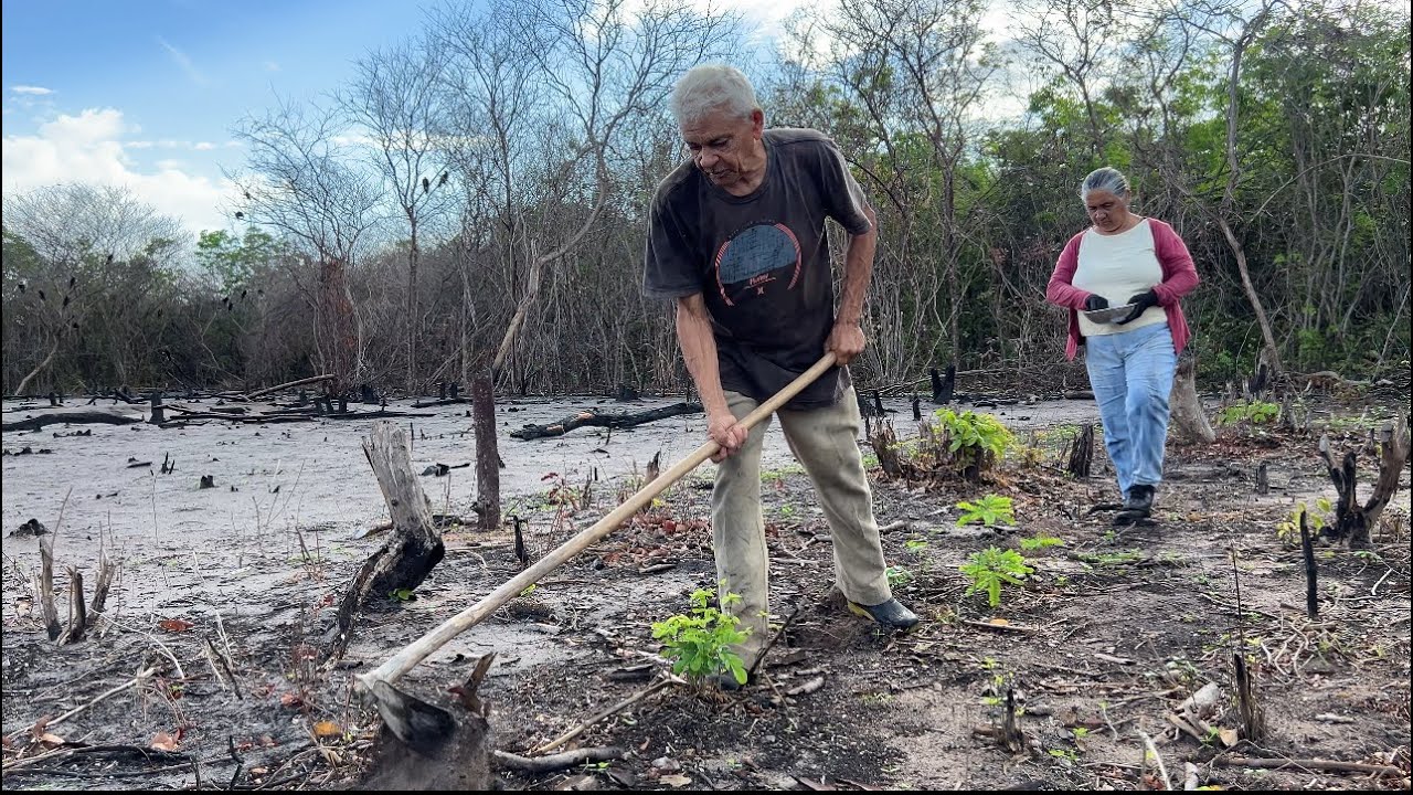 A CHUVA CHEGOU NO SERTÃO PIAUIENSE E FOMOS PLANTAR A ROÇA DO IRMÃO PEDRO. 07/02/2026