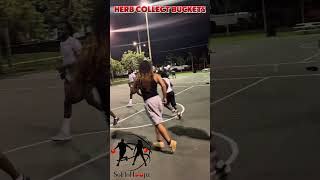 Herb collect buckets 🏀 #basketball #sports #hoop #win #game #florida #score #highlights