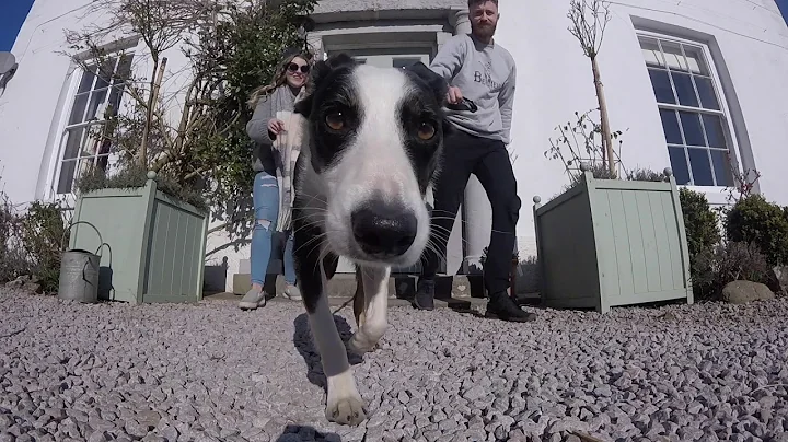 Trusted House Sitters in Cartmel