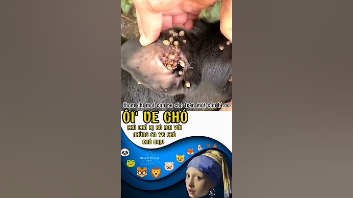Chú chó bị bỏ rơi và những cn ve chó🤦