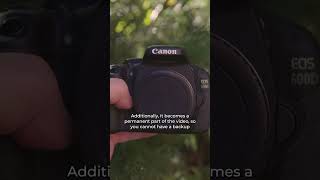 Do They Have IBIS? Canon 600D (T3i) vs 2000D (T7)