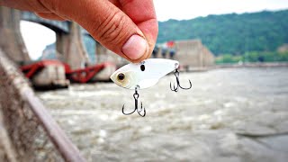 This RIVER DAM Is An ABSOLUTE FISH FACTORY!!! (Feeding Frenzy)