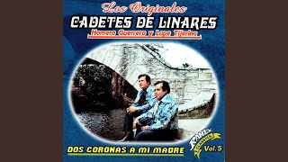 Video thumbnail of "Los Cadetes De Linares - El Muchacho y el Potro"