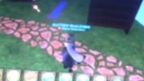 how to make carpets float wizards 101