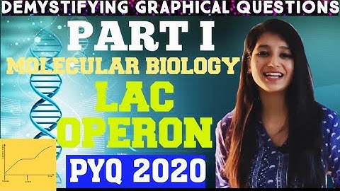 Graphical Problem Detail Solution Part I|Lactose Operon|Previous Year Question 2020|Molecular Bio|