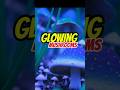 Glowing Mushrooms #shorts