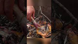 Delicious Meat in Tandoor! A Unique Way to Cook Flawless Meat!