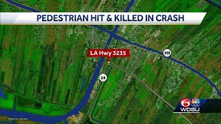 Galliano man struck, killed in Lafourche Parish