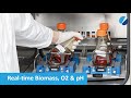 SFR vario - Real-time Biomass, O2, OUR & pH Monitoring in Shake Flasks