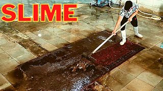 How To Terrible Dirty Carpet Cleaning ? |  How To Deep Clean Carpet ?