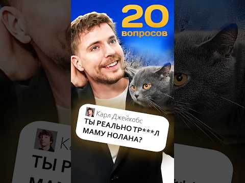 МИСТЕР БИСТ В ШОКЕ ОТ ЭТИХ ВОПРОСОВ #edit #story #mrbeast