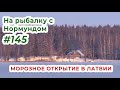 МОРОЗНОЕ ОТКРЫТИЕ в Латвии / На рыбалку с Нормундом #145