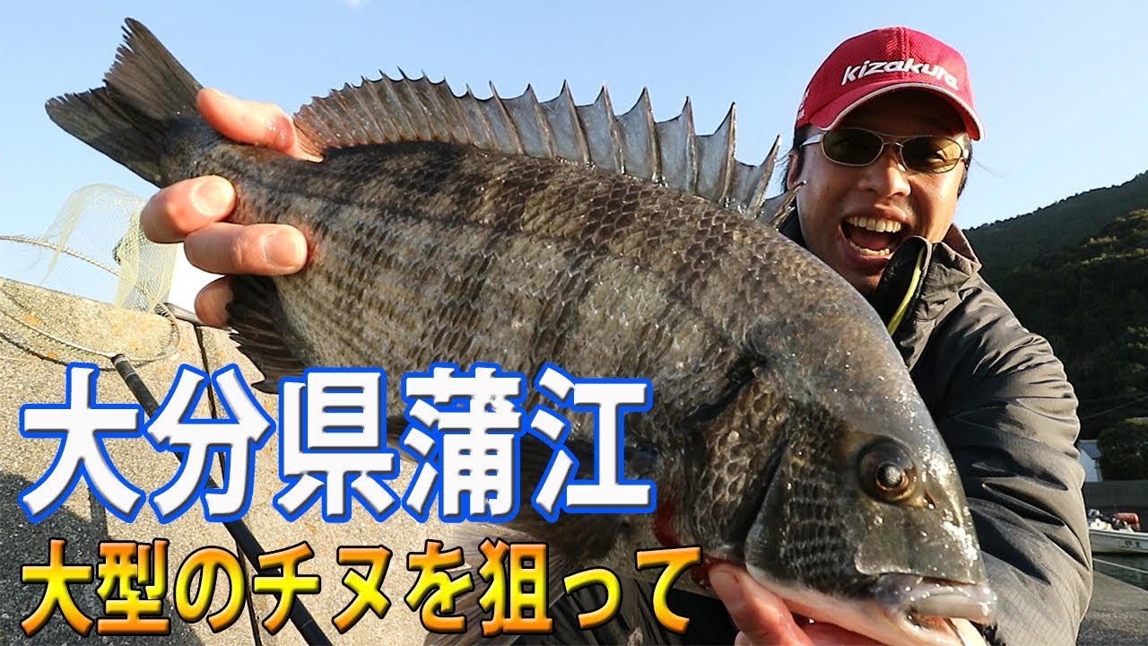 チヌ用の加工オキアミを作ってみました パート１ Youtube
