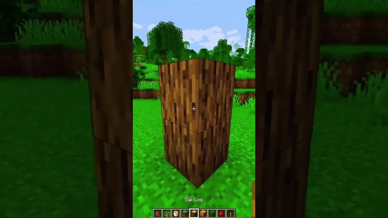 Minecraft How to Spawn Br Br Patapim😨 #minecraft #shorts