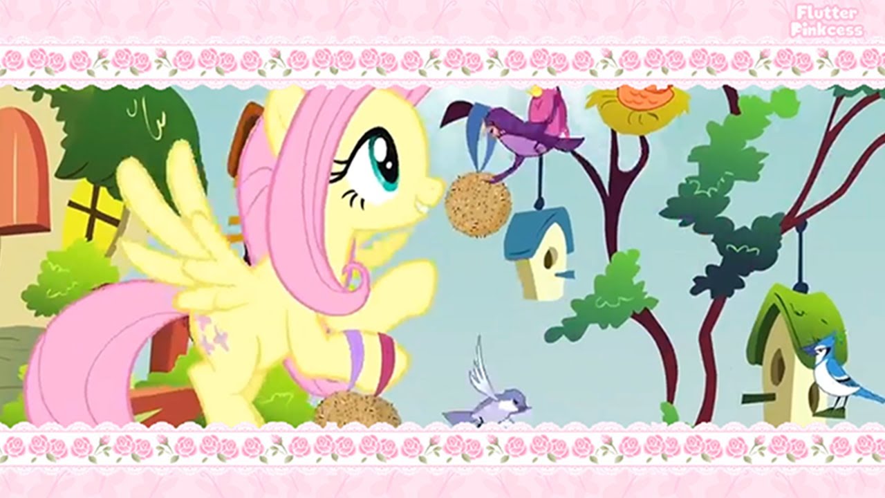 ʚïɞ Fluttershy ʚïɞ