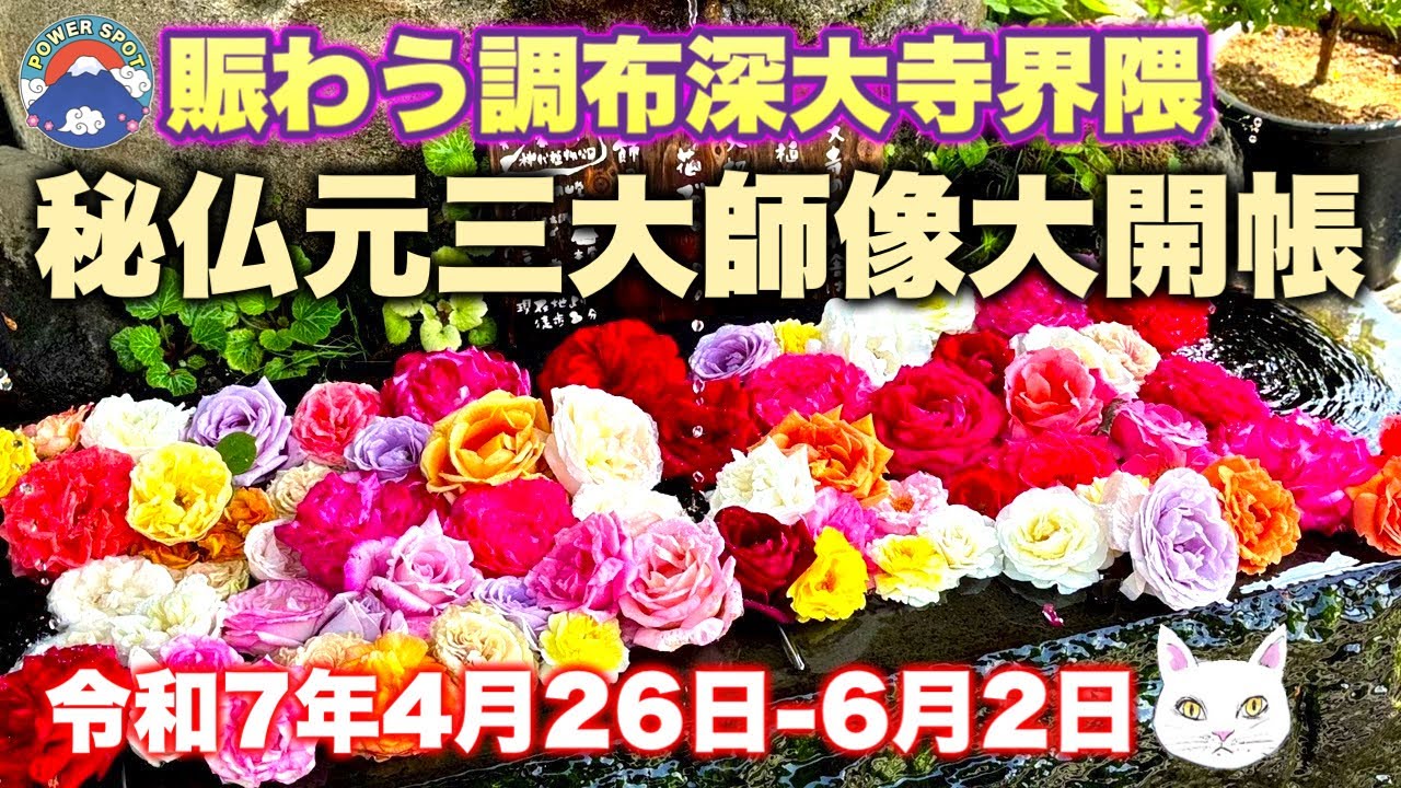 【厄除元三大師 深大寺大開帳】お蕎麦が美味しい深大寺界隈 更地になった鬼太郎茶屋 VIVANTロケ地八起