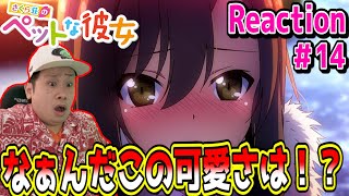 さくら荘のペットな彼女 同時視聴