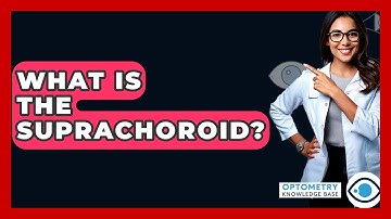 What Is The Suprachoroid? - Optometry Knowledge Base
