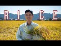 Organic Japanese Rice Farmer: Full Version