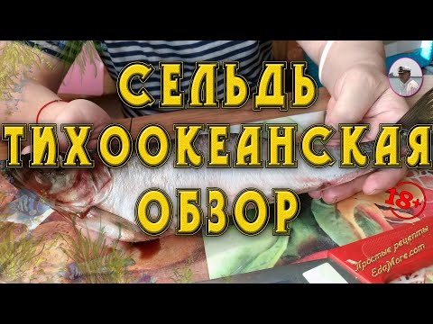 СЕЛЬДЬ ТИХООКЕАНСКАЯ~ОБЗОР СЕЛЕДКИ ТИХООКЕАНСКОЙ ЗА 8 МИНУТ