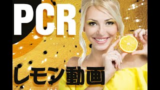 Pcr検査 すっぱいレモン Lemon 唾液が出る Youtube