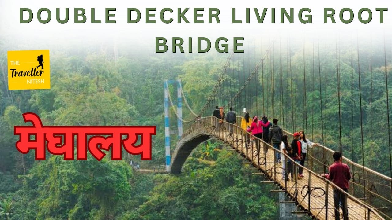 Meghalaya double decker living root bridge || Living root bridge Meghalaya ||