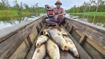 Gila betul spot kali maro Merauke, ikan kakapnya monster=monster