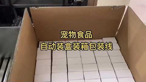 Automatic Case Packer Cartoning Packaging Machine Line for Pet Food