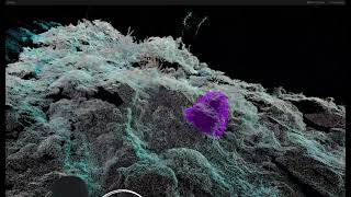Full VR Point Cloud Editor Demo Update