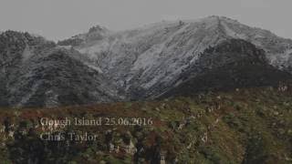 Gough Island, first snow of 2016