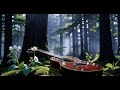 Calm Acoustic Guitar Music for Deep Focus ~ Peaceful Study & Relaxing Sleep Sounds