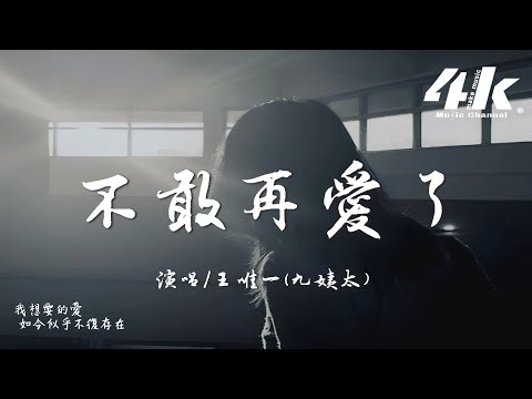 王唯一(九姨太) - 不敢再愛了『我渴望的愛 違背這個快餐時代，心都沒有餘地 再被傷害。』【高音質|動態歌詞Lyrics】♫
