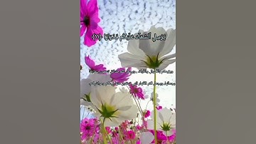 سورة نوح من الآية﴿١٠﴾الي الآية﴿١٤﴾ بصوت القارئ إسلام صبحي