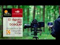 Accesorios fotográficos | Sorteo K&F Concept