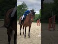 Je les ai matriss  cheval equitation horses avantaprs edit tiktok pony