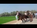 DILBARJANI HORSE VS JHONDLA HORSE RACE KHARPUR KARACHI