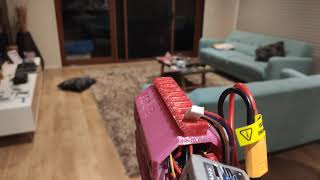 Fdl3 Flyshot Demonstration - Response